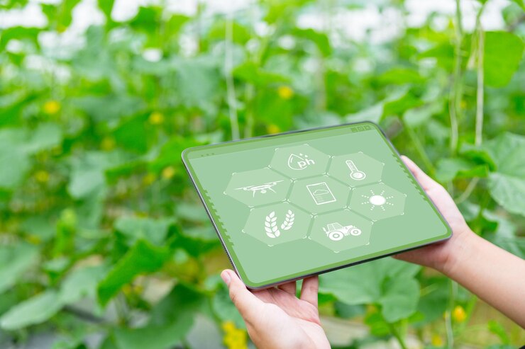 Sensing Success: The Role of Agricultural Sensors in Modern Farming