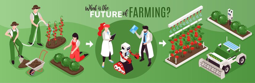 The Future of Agriculture Crops in the Next Decade: A Glimpse into Sustainable Innovations
