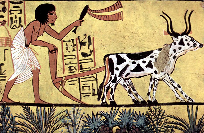 The Origins of Agriculture: A Scientific Exploration
